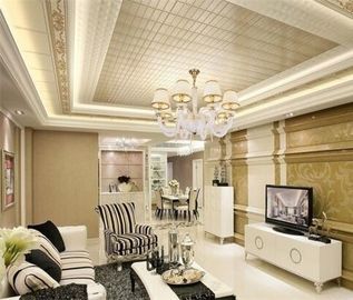 Shops Decorative Suspended Ceiling Tiles With Aluminum Alloy 1100 Material